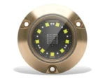LUMISHORE SMX24 Underwater Surface Mount Blue and White Single Light | 60-0533 | 010-04504-00