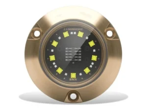 LUMISHORE SMX24 Underwater Surface Mount Blue and White Single Light | 60-0533 | 010-04504-00